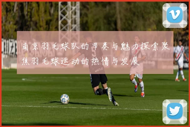 南京羽毛球队的节奏与魅力探索聚焦羽毛球运动的热情与发展